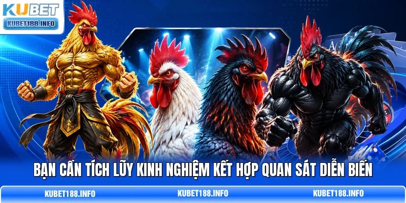 Bạn cần tích lũy kinh nghiệm kết hợp quan sát diễn biến