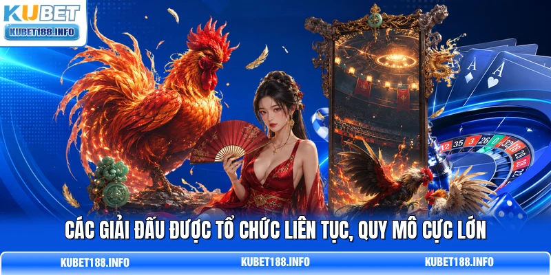 Các giải đấu được tổ chức liên tục, quy mô cực lớn