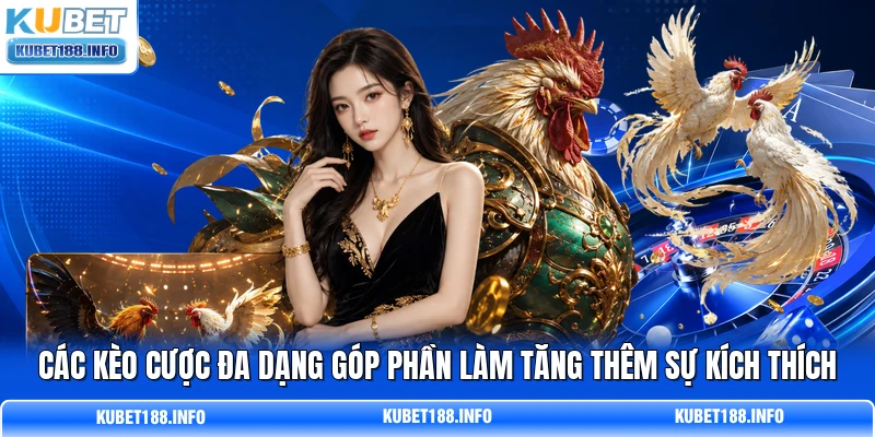 Các kèo cược đa dạng góp phần làm tăng thêm sự kích thích