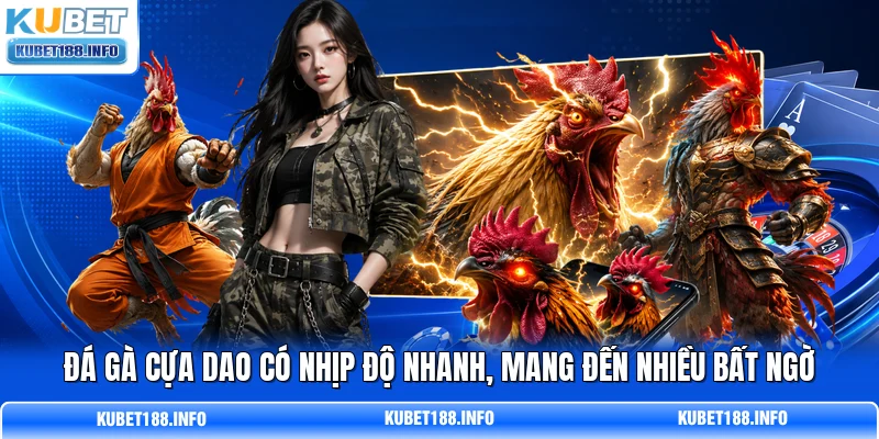 Đá gà cựa dao có nhịp độ nhanh, mang đến nhiều bất ngờ