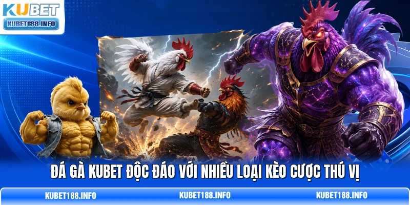 Đá gà KUBET độc đáo với nhiều loại kèo cược thú vị